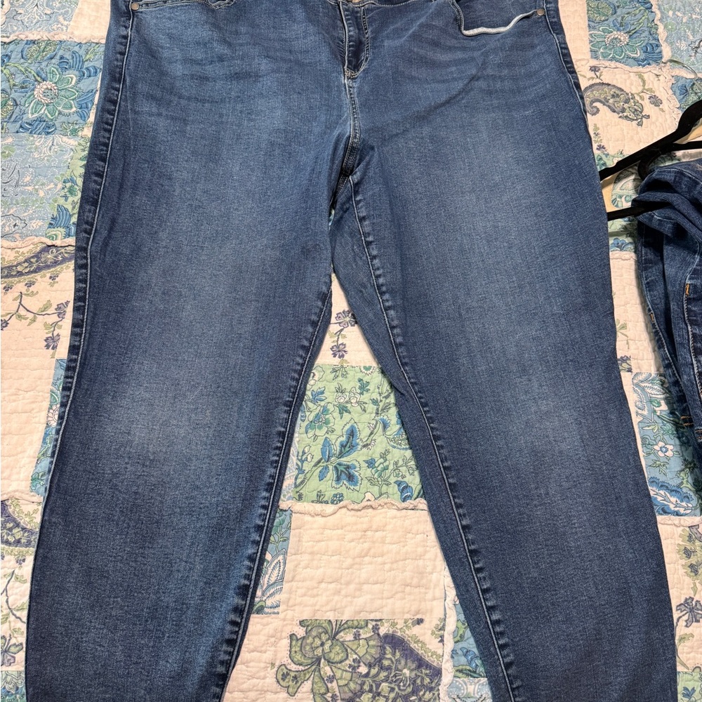 Torrid Women's Classic Blue Jeggings